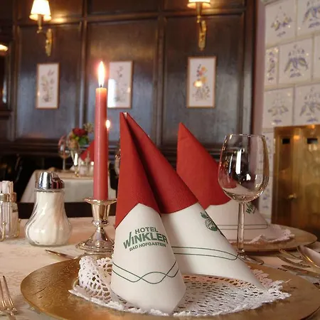 Kur- Und Winkler Hotel